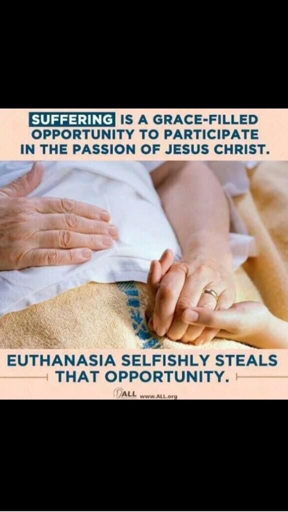 oh my god twitter doesn’t include alt text from images in their API